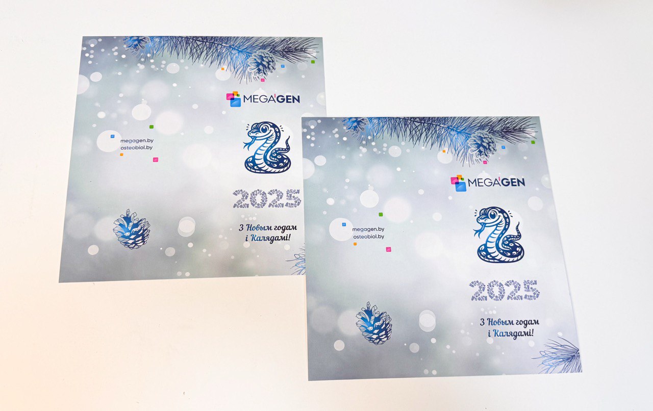 otkritka-zmeya-2025